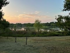 -贡湖湾湿地公园