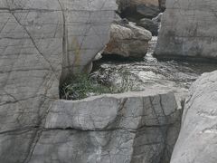 -百花洲