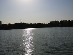 -秀水公园