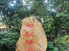 -梧桐山风景名胜区