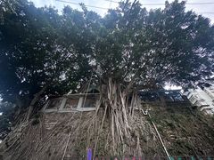 -鸿山公园