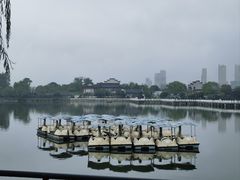 -武汉动物园