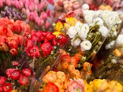 -循礼门鲜花花市(武汉循礼门店)