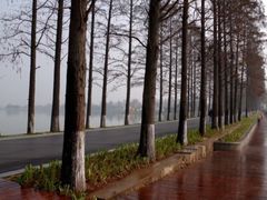 -东湖落雁景区