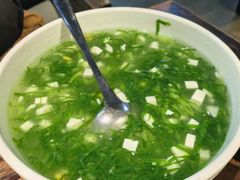 -陈麻婆豆腐(旗舰店)