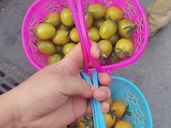 -菊园百果园