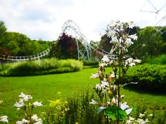 -上海共青森林公园