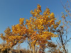 -白水寺森林公园