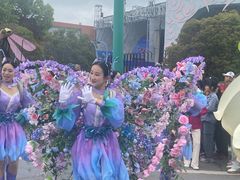 -荷兰花海