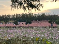 -嘉北郊野公园