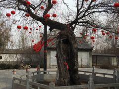 -杨家埠民间艺术大观园