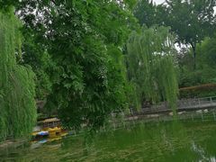 -莲湖公园