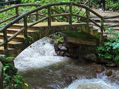 -莫里热带雨林景区