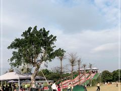 -长洲岛都市农业公园