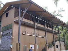 -银湖山郊野公园-相思林