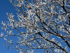 -东天目山风景区