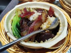 -熠盛粤味·顺德桑拿鸡(永康路店)