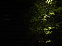 -Love Story爱情故事·养生SPA会所(新侨店)