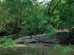 -宁波杭州湾国家湿地公园