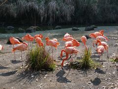-千岛湖东南湖区