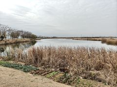 -漕湖湿地公园