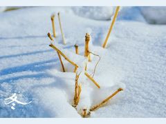 -蓟县盘山滑雪场