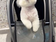 -FAELING PETS美天灵宠物(富力广场店)