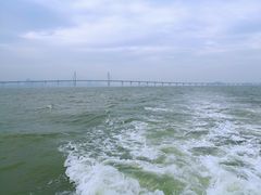 -澳门环岛游湾仔码头