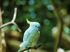 -普洱太阳河森林公园