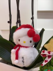 -JUVA欧华医美连锁