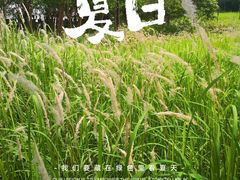 -涞滩古镇