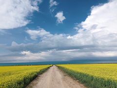 -青海湖国家重点风景名胜区