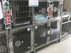 -申普宠物医院·心脏介入·心血管微创(总院)