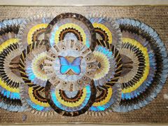 -上海昆虫博物馆