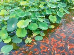 -西海子公园
