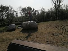 -白鹭湾湿地公园