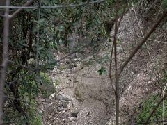 -南京市江宁方山