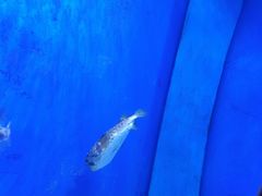 -多彩贵州城极地海洋世界