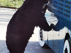 -北京野生动物园