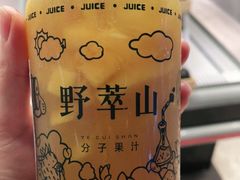 -野萃山·潮汕厚果汁(十亩地店)