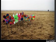 -松声马术俱乐部