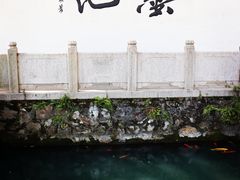 -墨池公园