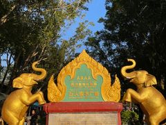 -西双版纳傣族园