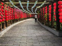 -南汇桃花村