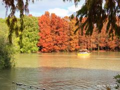 -上海海湾国家森林公园