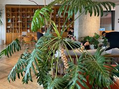 -COFFEEOLOGY咖啡学(天银店)