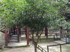 -太湖源风景区