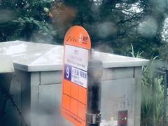 -成记士多(石澳道)