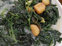 上汤辣椒叶-腰记饭店(龙源路店)