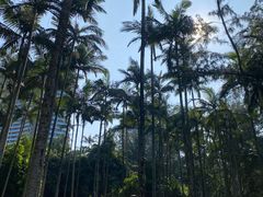 -北海市海滨公园